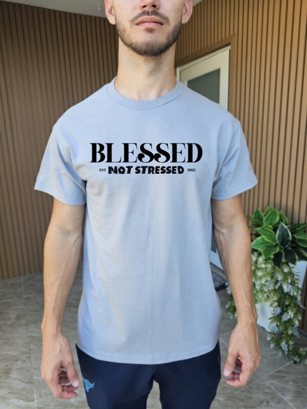 "Blessed Not Stressed" T-Shirt | 2025 Mantra Tee | Positive Mindset Apparel - Image 8