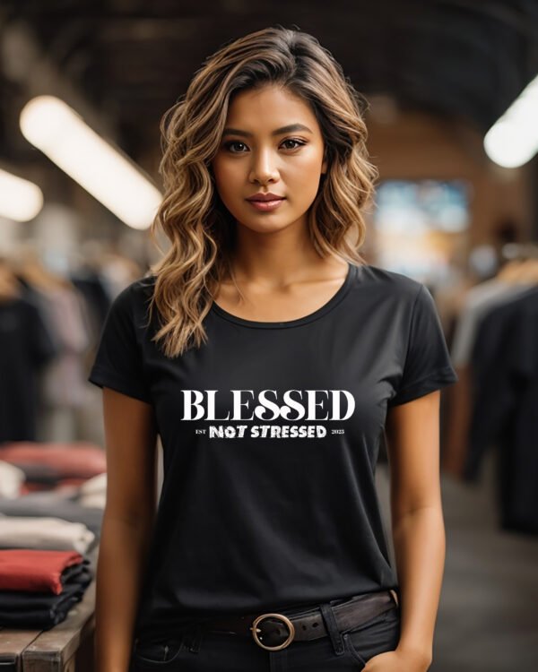 "Blessed Not Stressed" T-Shirt | 2025 Mantra Tee | Positive Mindset Apparel - Image 3