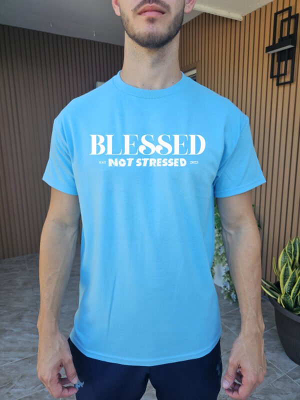 "Blessed Not Stressed" T-Shirt | 2025 Mantra Tee | Positive Mindset Apparel - Image 5