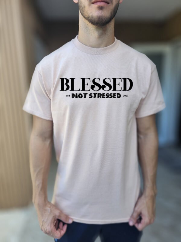 "Blessed Not Stressed" T-Shirt | 2025 Mantra Tee | Positive Mindset Apparel - Image 6