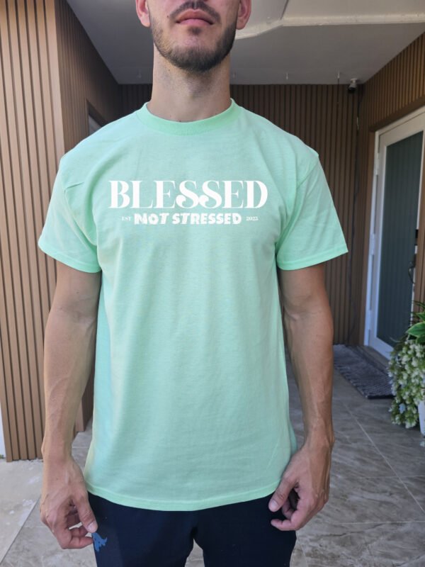 "Blessed Not Stressed" T-Shirt | 2025 Mantra Tee | Positive Mindset Apparel - Image 7
